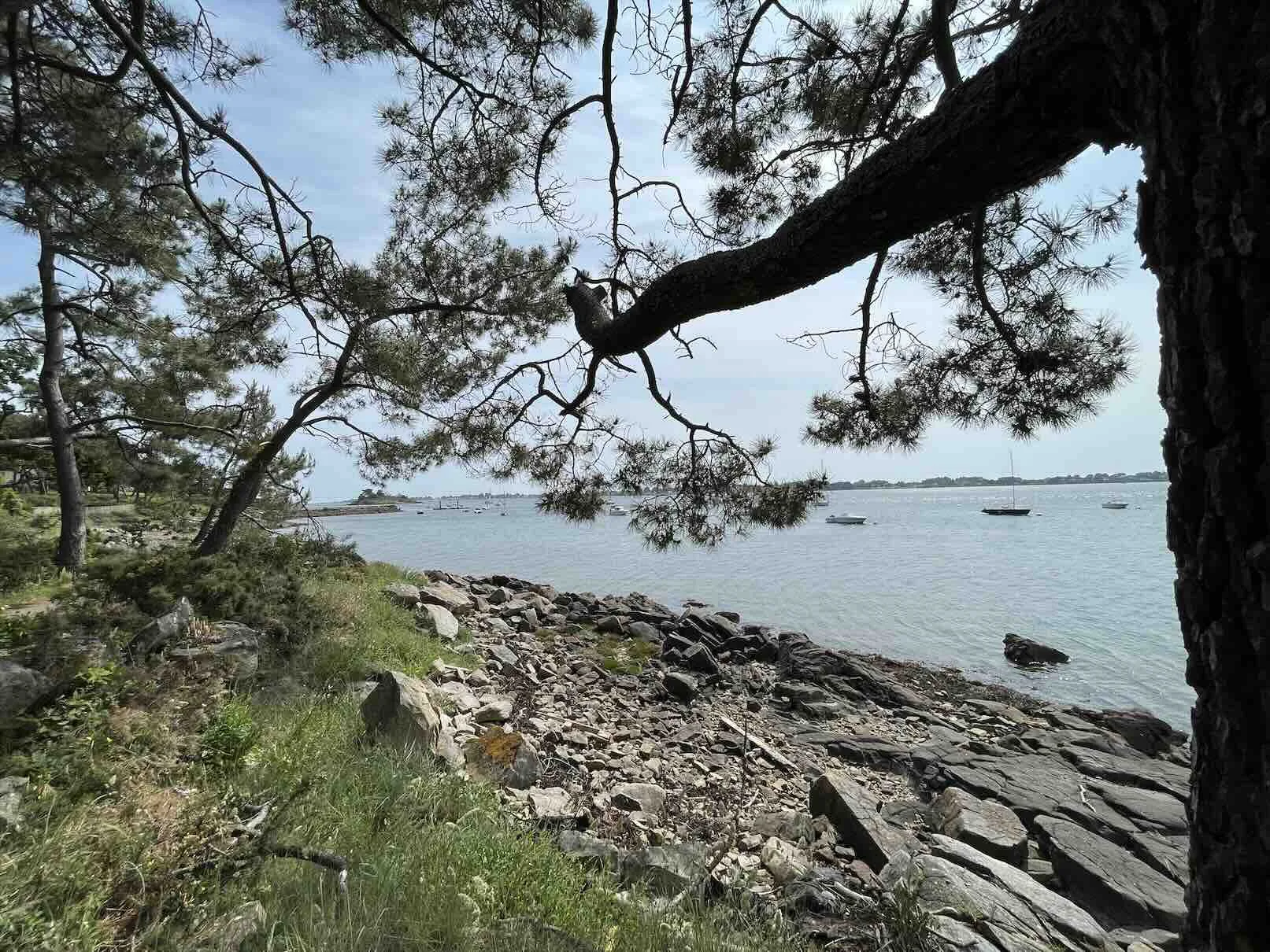 Golfe du Morbihan, the bay south of Vannes