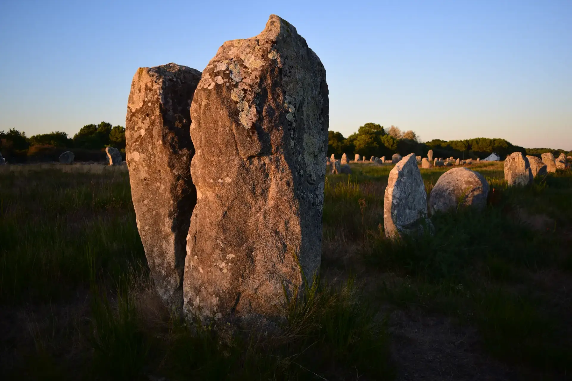 Menhirs des alignements de Carnac au soleil couchant