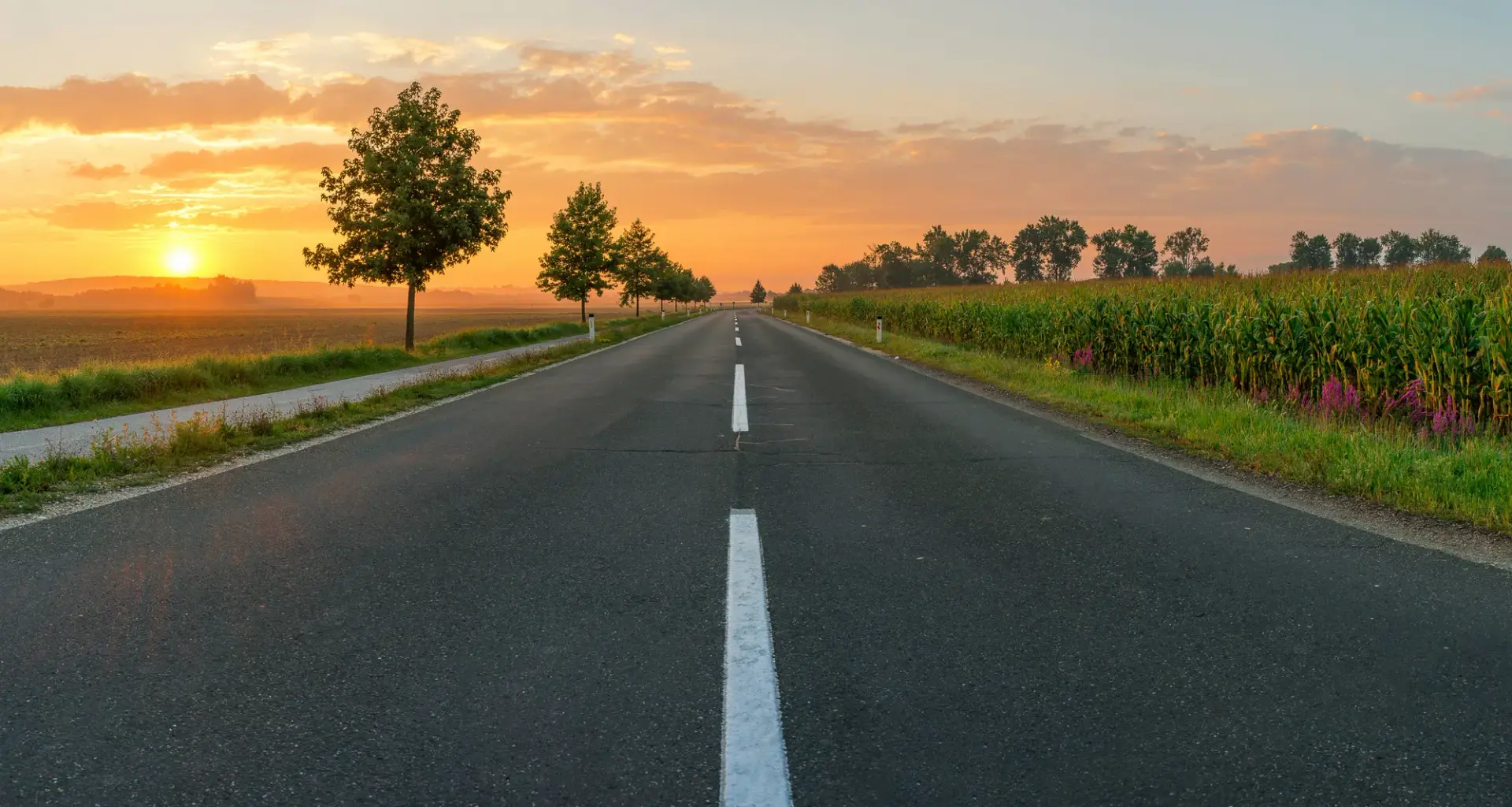 Route de campagne au coucher du soleil